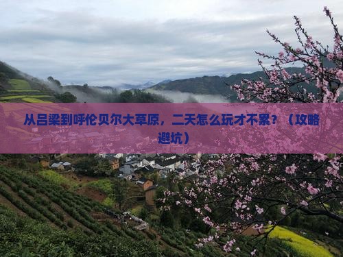吕梁去内蒙呼伦贝尔大草原二日游