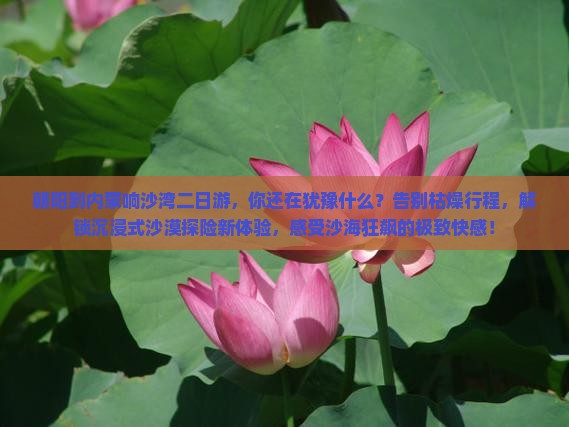 朝阳到内蒙响沙湾二日游