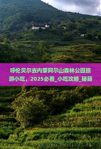 呼伦贝尔去内蒙阿尔山国家森林公园旅游小吃