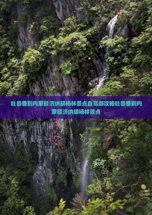 吐鲁番到内蒙额济纳胡杨林景点