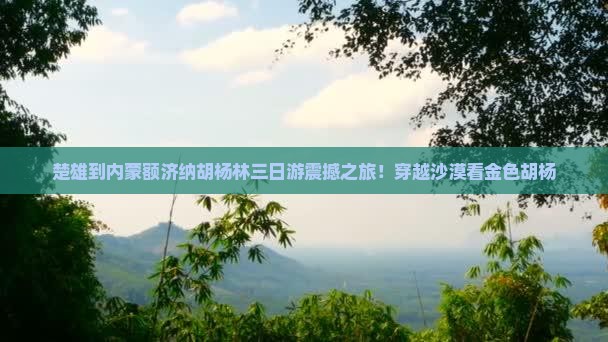楚雄到内蒙额济纳胡杨林三日游