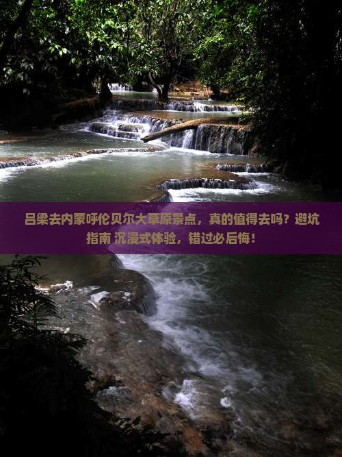 吕梁去内蒙呼伦贝尔大草原景点