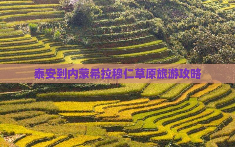 泰安到内蒙希拉穆仁草原门票