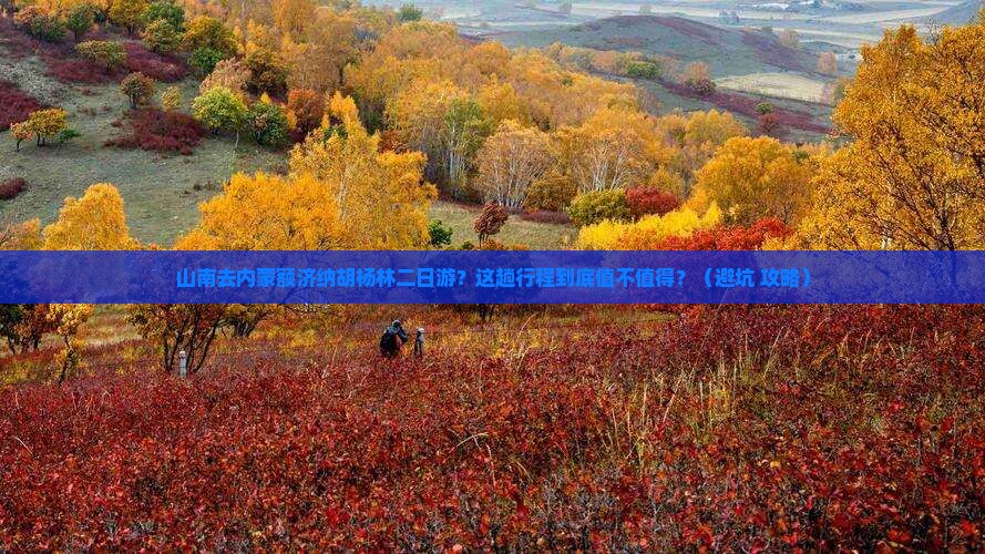 山南去内蒙额济纳胡杨林二日游