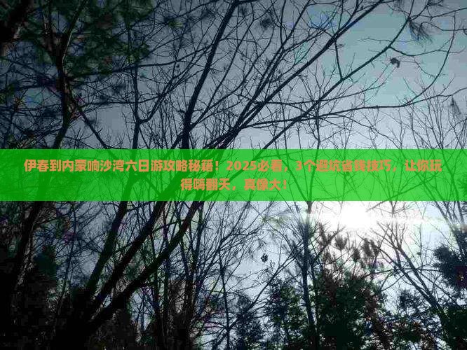 伊春到内蒙响沙湾六日游