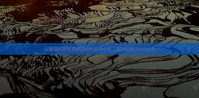 山南到内蒙额济纳胡杨林旅游小吃