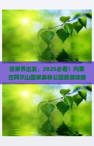 张家界去内蒙阿尔山国家森林公园旅游