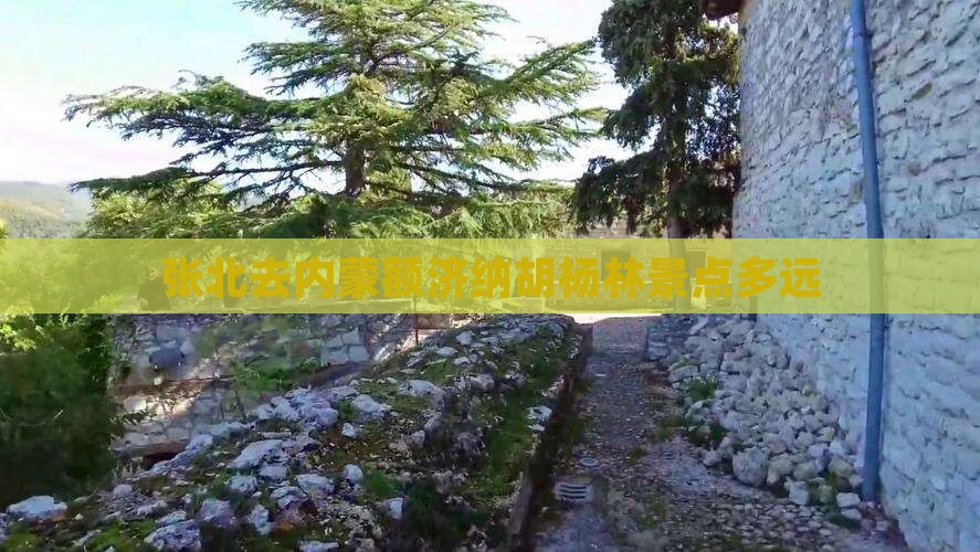 张北去内蒙额济纳胡杨林景点