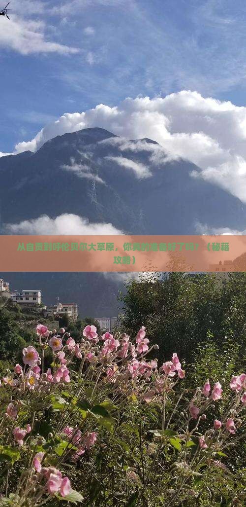 自贡去内蒙呼伦贝尔大草原景点