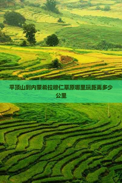 平顶山到内蒙希拉穆仁草原哪里玩
