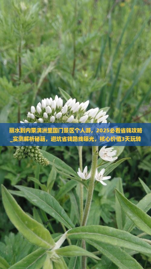 丽水到内蒙满洲里国门景区个人游