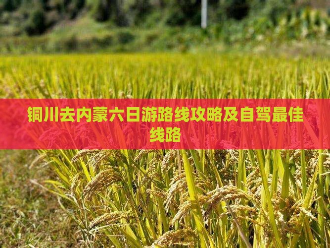 铜川去内蒙六日游