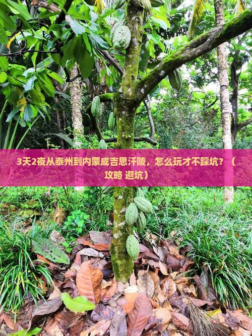 泰州到内蒙成吉思汗陵自由行