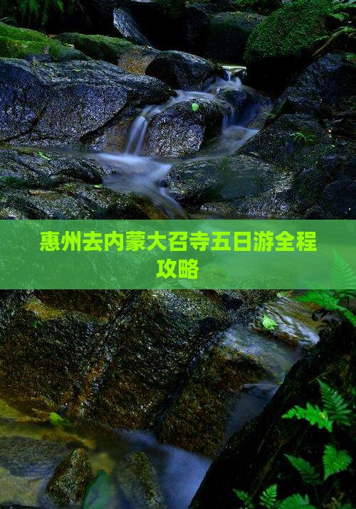 惠州去内蒙大召寺五日游