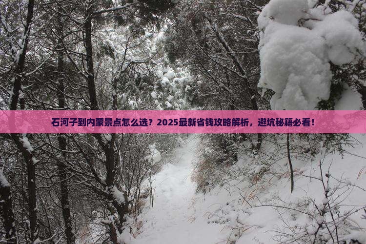 石河子到内蒙景点