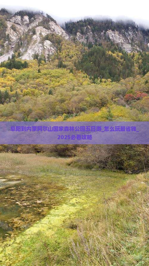 阜阳到内蒙阿尔山国家森林公园五日游