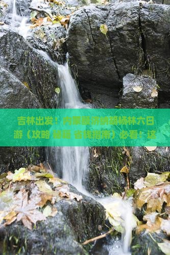 吉林到内蒙额济纳胡杨林六日游