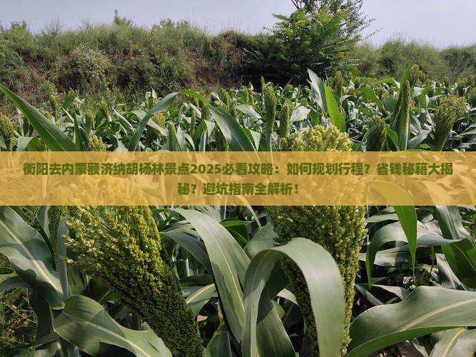 衡阳去内蒙额济纳胡杨林景点