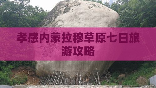 孝感去内蒙希拉穆仁草原七日游
