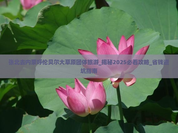 张北去内蒙呼伦贝尔大草原团体旅游