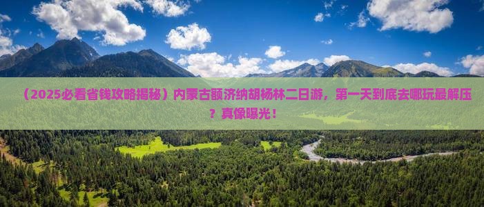 一月到内蒙额济纳胡杨林二日游