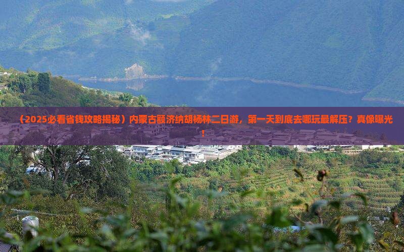一月到内蒙额济纳胡杨林二日游