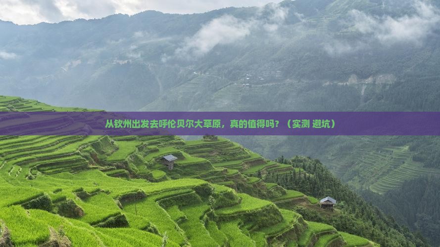钦州去内蒙呼伦贝尔大草原个人游