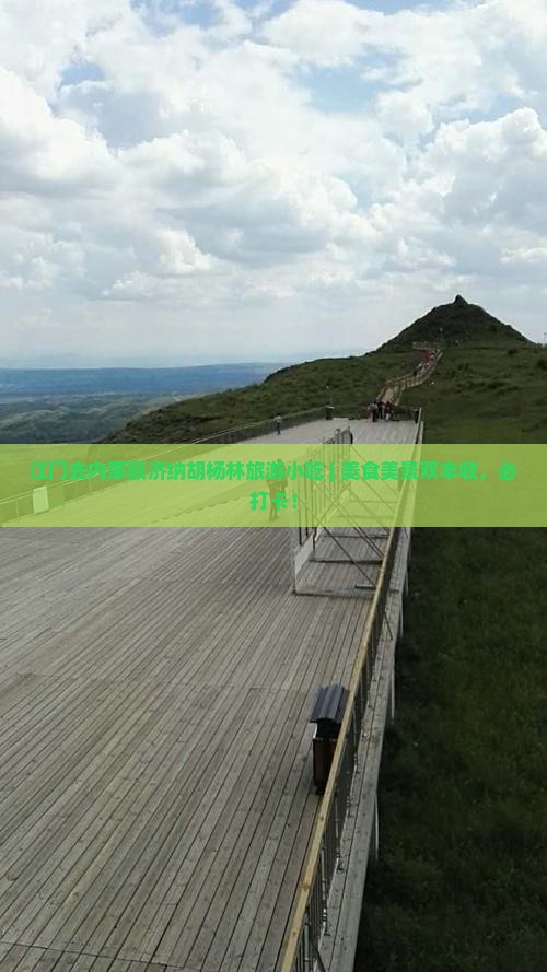 江门去内蒙额济纳胡杨林旅游小吃