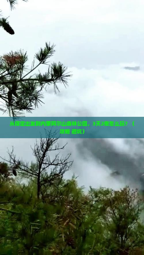 保定到内蒙阿尔山国家森林公园旅游
