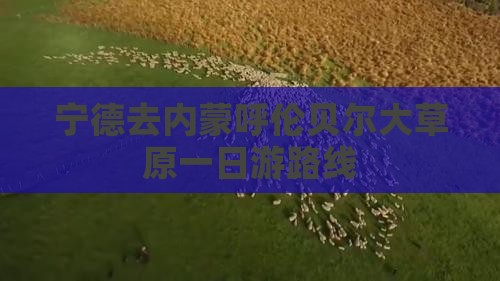 宁德去内蒙呼伦贝尔大草原一日游