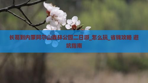 长葛到内蒙阿尔山国家森林公园二日游