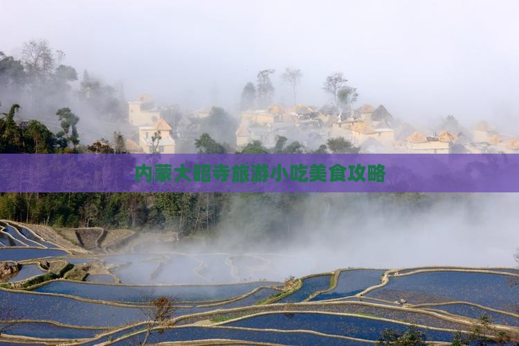 锡林郭勒盟到内蒙大召寺旅游小吃