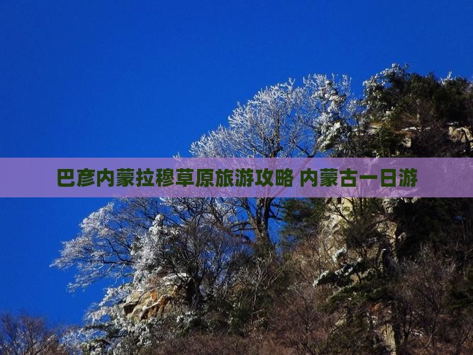 巴彦倬尔到内蒙希拉穆仁草原一日游