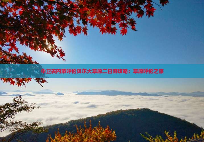 中卫去内蒙呼伦贝尔大草原二日游