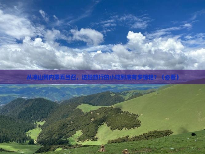凉山去内蒙五当召旅游小吃