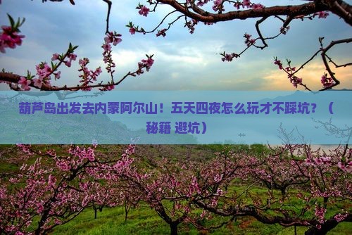 葫芦岛去内蒙阿尔山国家森林公园五日游