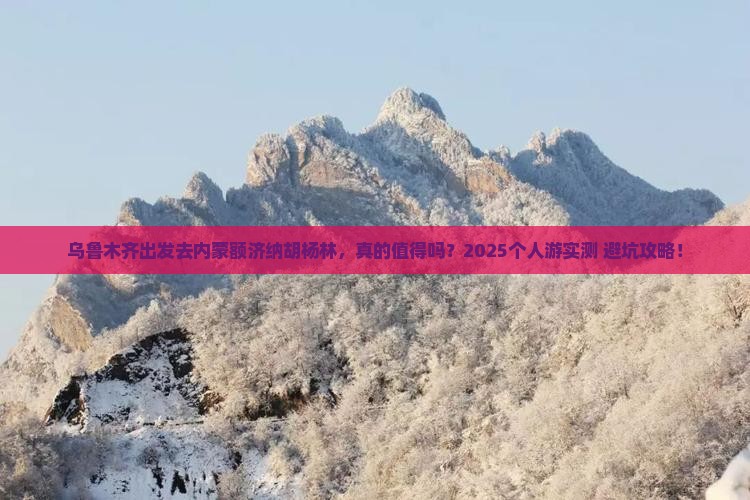乌鲁木齐去内蒙额济纳胡杨林个人游