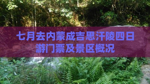 七月去内蒙成吉思汗陵四日游