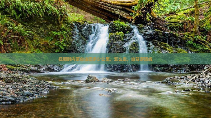 抚顺到内蒙自由团