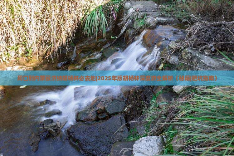 周口到内蒙额济纳胡杨林必去地