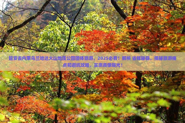 延安去内蒙乌兰哈达火山地质公园团体旅游