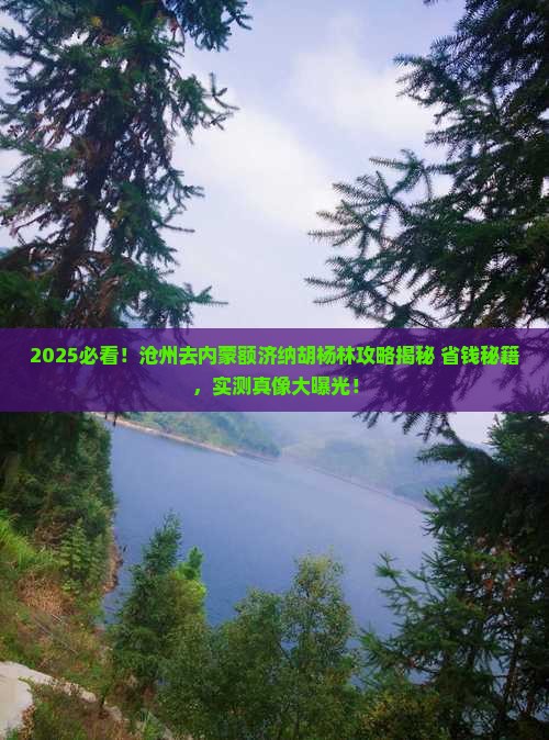 沧州去内蒙额济纳胡杨林景点