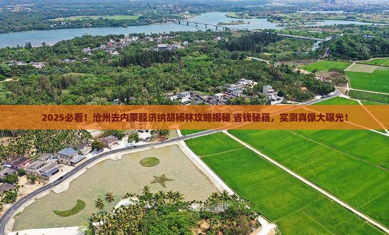 沧州去内蒙额济纳胡杨林景点