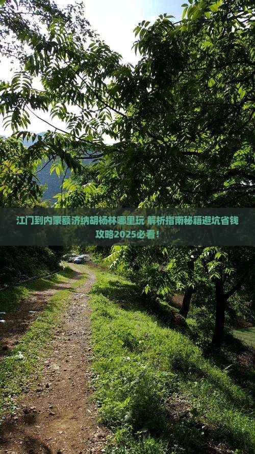 江门到内蒙额济纳胡杨林哪里玩