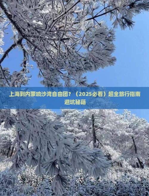 上海到内蒙响沙湾自由团