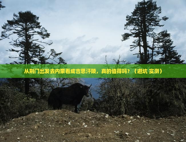 荆门去内蒙成吉思汗陵旅游