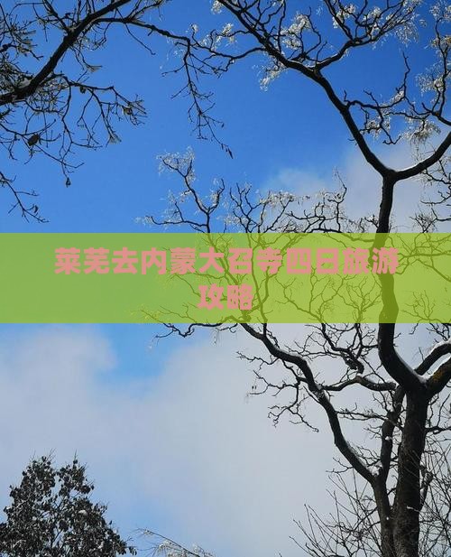 莱芜去内蒙大召寺四日游