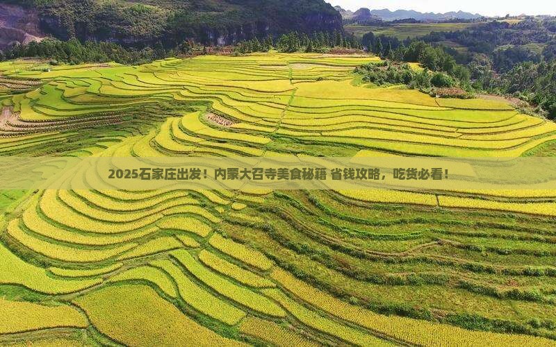 石家庄到内蒙大召寺旅游小吃