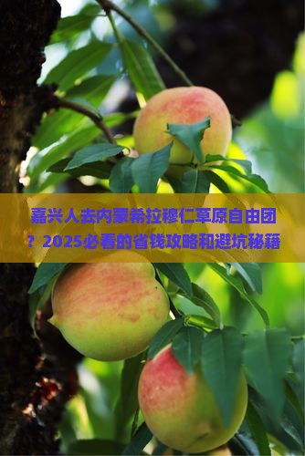 嘉兴去内蒙希拉穆仁草原自由团