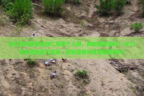 海口到内蒙希拉穆仁草原个人游